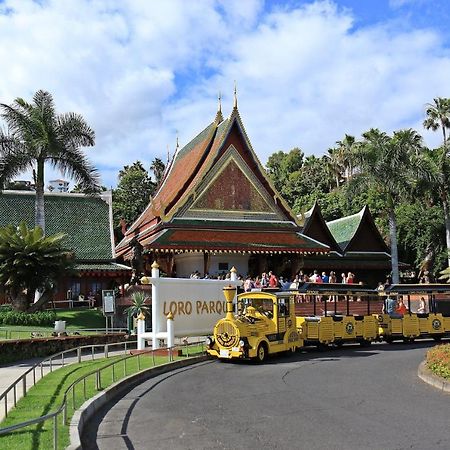 شقة سانتا كروز دي تينيريف  في Apto Drago Holidays المظهر الخارجي الصورة